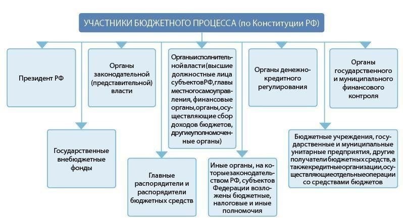 Что определяет государственную бюджетную организацию в России?