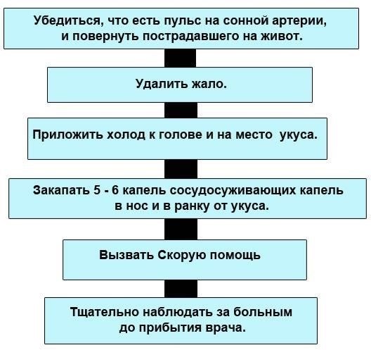 Для солдат, страдающих аллергией, крайне важны своевременное выявление и соответствующее вмешательство. При появлении симптомов аллергической реакции требуется тщательное обследование у аллерголога для подтверждения диагноза и составления плана лечения. Военные врачи играют ключевую роль в этом процессе, обеспечивая солдатам необходимую помощь для поддержания их боеготовности.