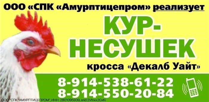 Обзор процедур перераспределения в Приозерском районе