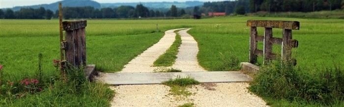 Как подготовить исковое заявление об установлении сервитута: пошаговая инструкция