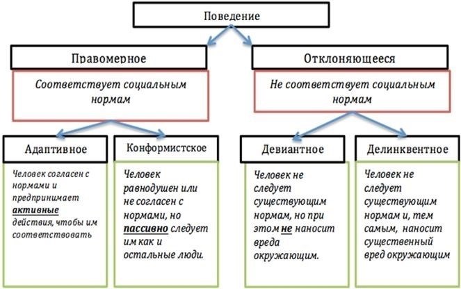 Как поступки из сострадания влияют на социальное поведение и укрепляют общественные связи