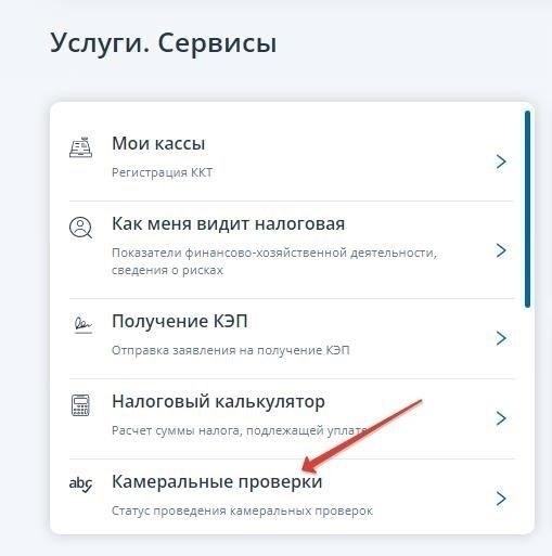 Как проверить процесс проверки декларации?