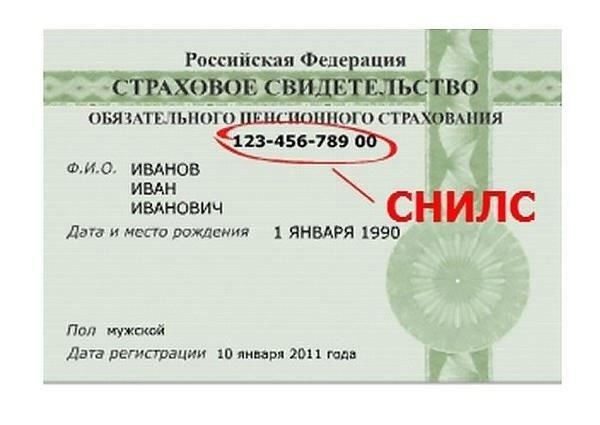 Легальные способы получения номера СНИЛС