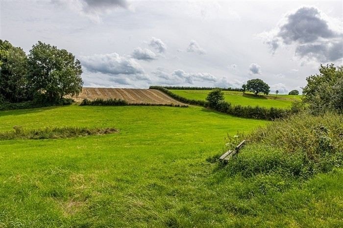 Что такое сервитут на земельный участок и какие бывают его виды