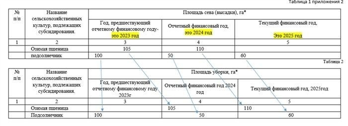 Как не потерять льготы для малоимущих при оформлении документов