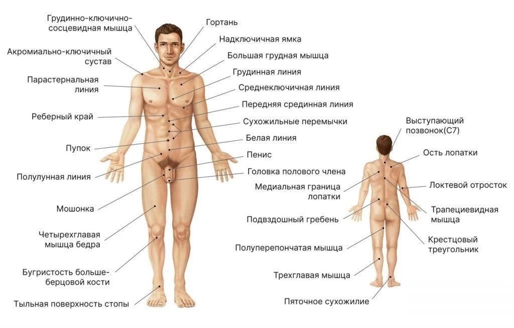 Какие заболевания не подходят для службы?