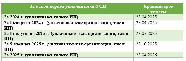 Сроки уплаты НДС и НСР для самозанятых лиц