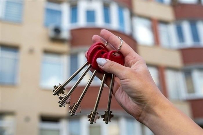 Сроки внесения сведений в единый реестр и первые действия собственников