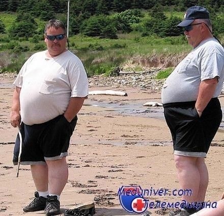 Как составить рацион питания для мужчины с ожирением: что можно и что нельзя есть