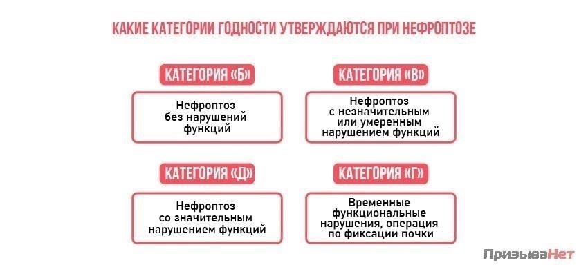 Наличие нефроптоза автоматически не лишает человека права служить в армии, однако существуют строгие критерии и правила, касающиеся пригодности к службе. Человек с нефроптозом может быть признан негодным к службе в зависимости от степени тяжести, симптомов и функциональных ограничений, которыми сопровождается это заболевание.