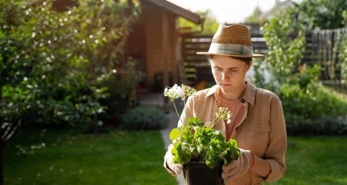 Возврат налога при расторжении договора: как получить деньги обратно и что нужно знать