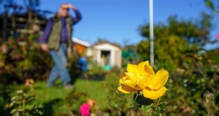 Согласие на обработку персональных данных для посетителей веб-сайта