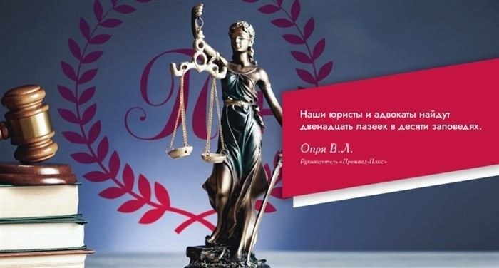 Роль органов опеки при установлении опеки над детьми