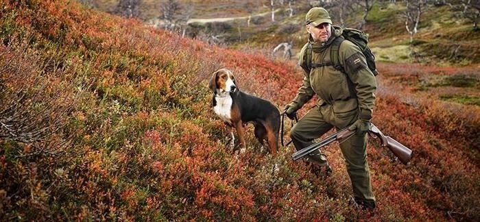 Когда начинается сезон охоты в России?