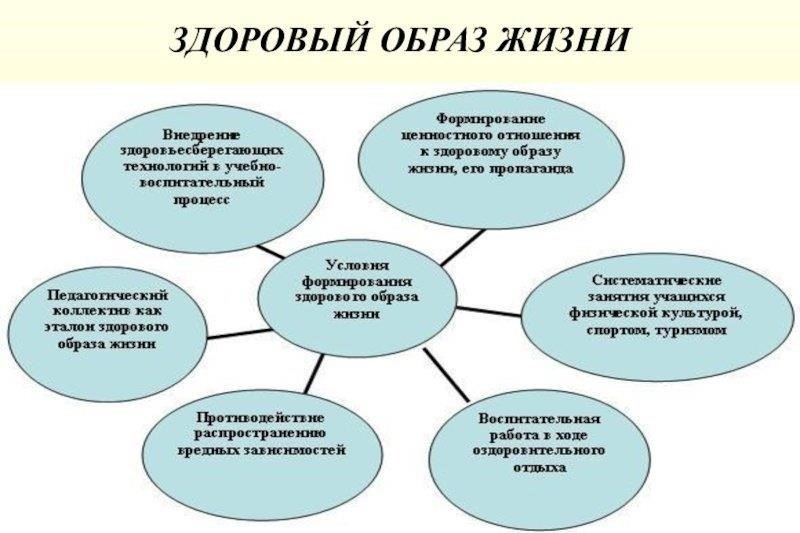 Общие проблемы со здоровьем и медицинская поддержка