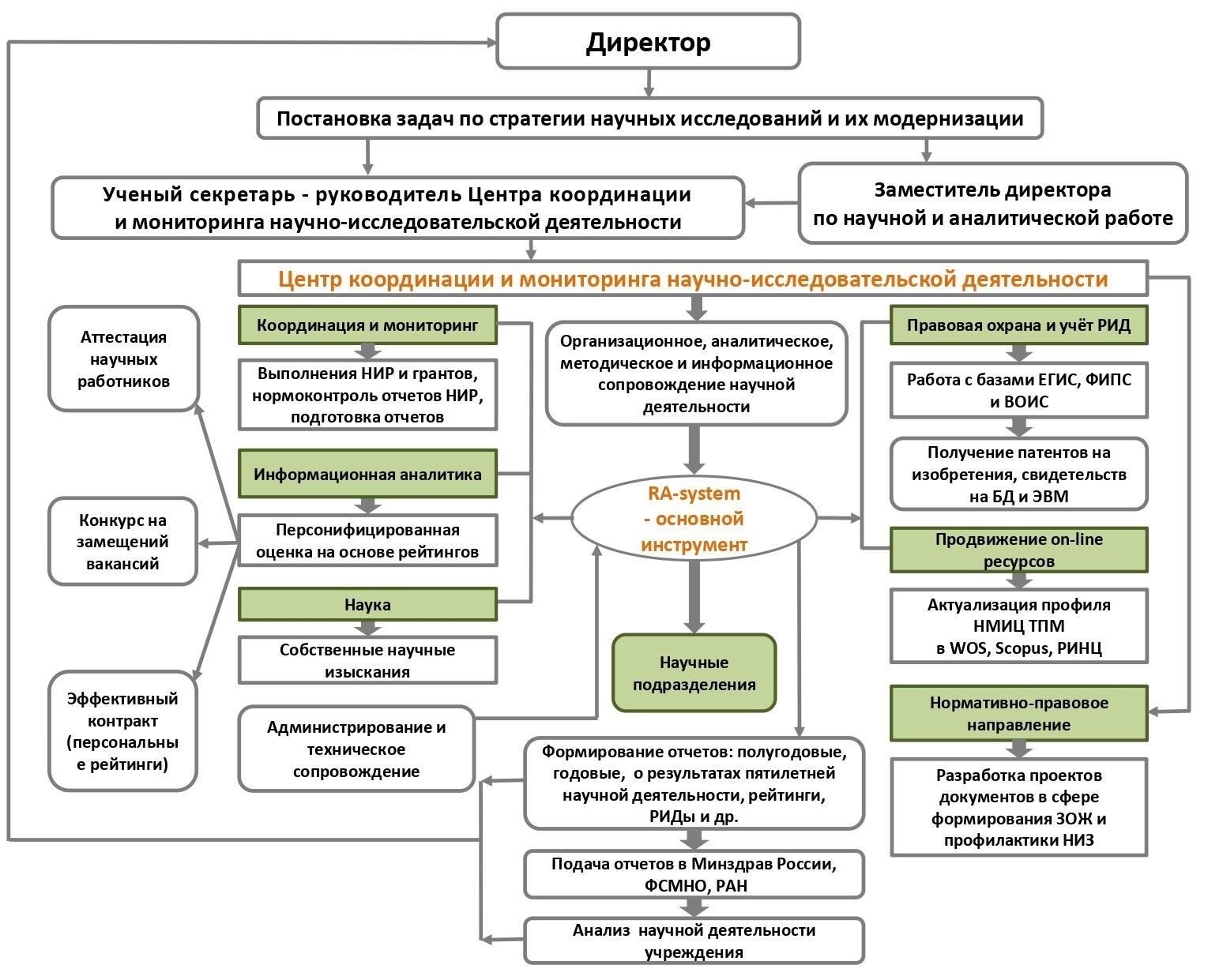 Основные направления деятельности включают: