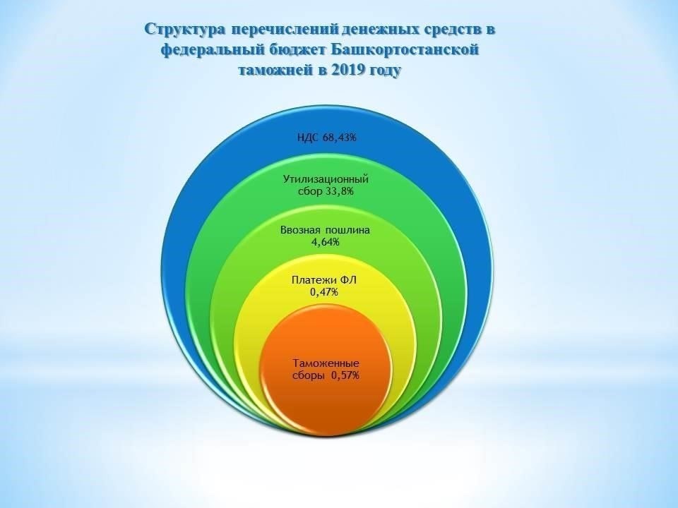 Основные обязанности включают в себя контроль за безопасностью на границе, проверку документов и транспортных средств, а также предотвращение незаконного пересечения границы. Сотрудники пограничного контроля также проводят досмотр на предмет контрабанды и устраняют любые угрозы безопасности на границе. Они подчиняются начальникам отделов, таким как старший инспектор или директор отдела, и должны выполнять директивы руководства ФСБ. Эти сотрудники могут взаимодействовать с другими местными органами власти, в том числе с администрацией города Биробиджана и жилищно-коммунальными службами, особенно при решении вопросов, связанных с беспорядками и безопасностью в городе.