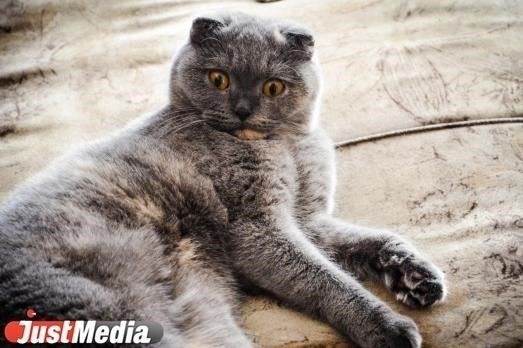 Недостатки жизни в сельском частном доме