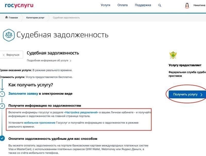 Получите информацию о долге менее чем за 30 секунд