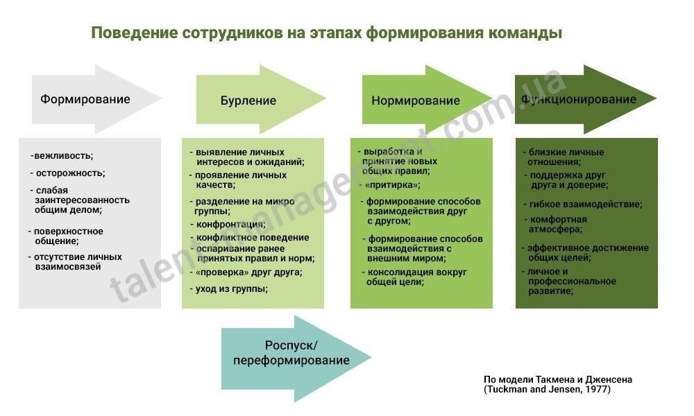Понимание основ формирования команды