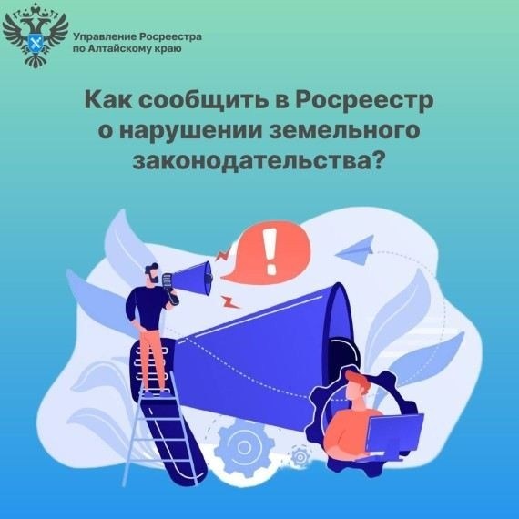 Что делать после удовлетворения иска по земельному спору?