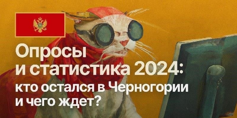 Проверка биографии и расследование: Чего ожидать?