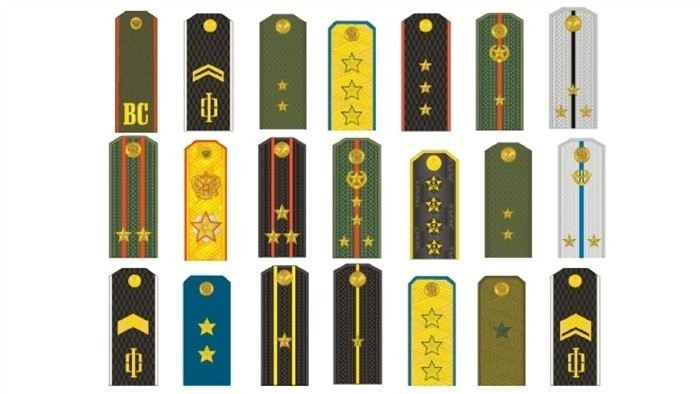 Пояснение для призывников: как определить свою военную категорию и что она означает