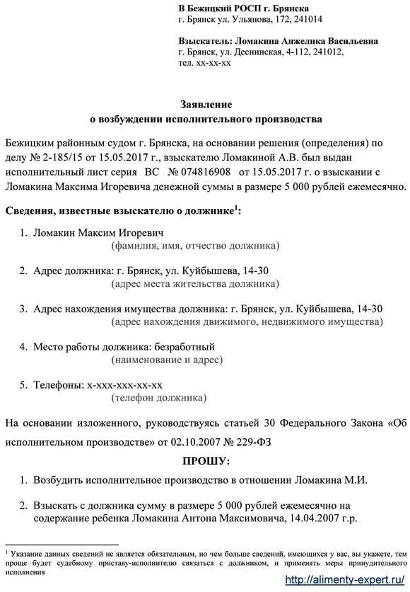 Шаги по принудительному исполнению обязательств по выплате алиментов: Основные этапы