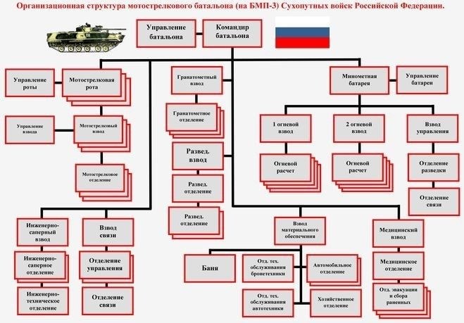Современная организация Вооруженных сил России: Численность и состав