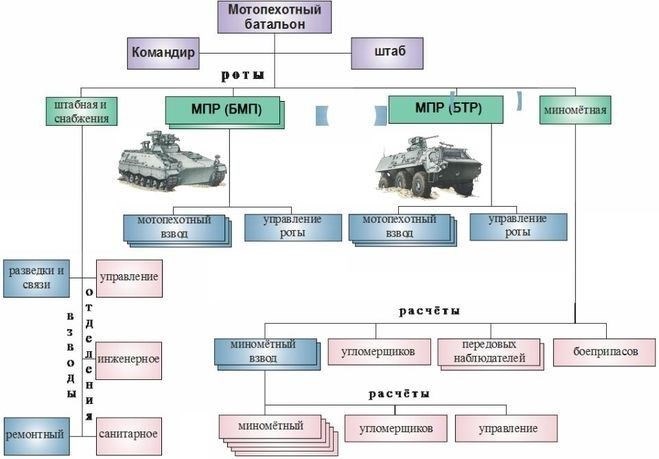 Сколько солдат и офицеров во взводе, роте, батальоне, полку и дивизии?