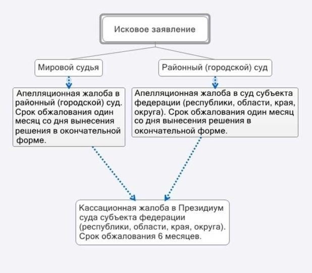 Сроки рассмотрения жалобы