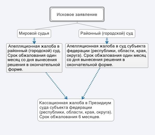 Структура и функции апелляционного суда