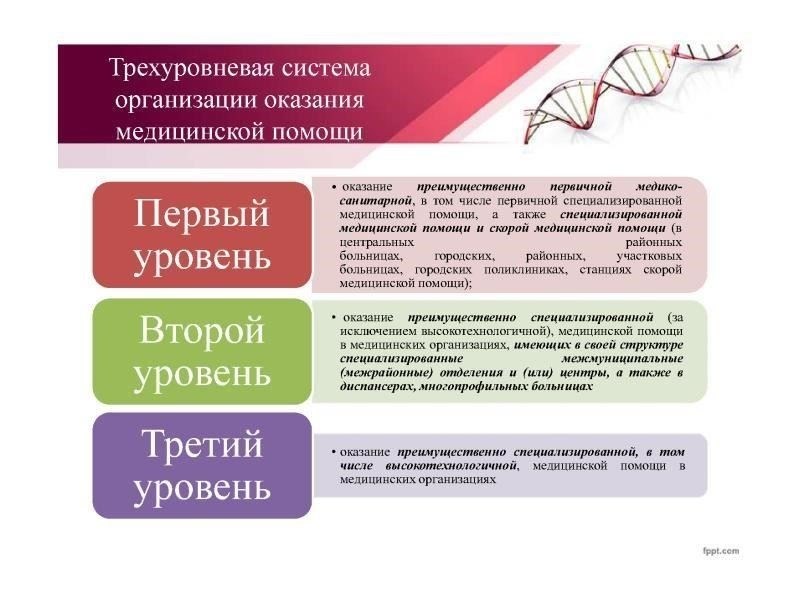 Уровни и должности в медицинской сфере