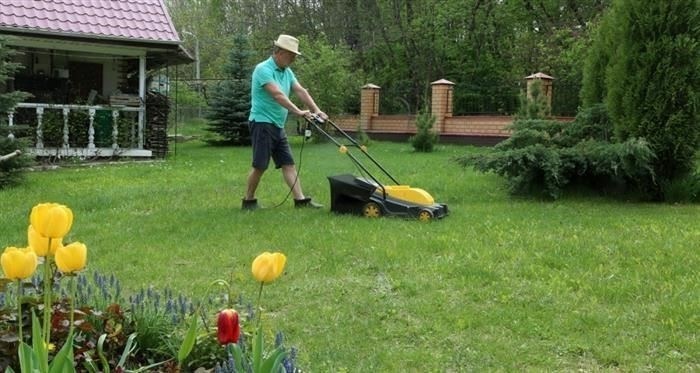 Как выбрать договор купли-продажи автомобиля 