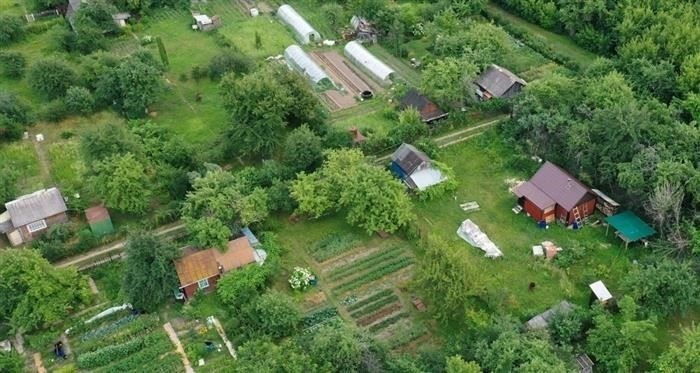 Различия между застрахованным лицом и выгодоприобретателем в договорах страхования
