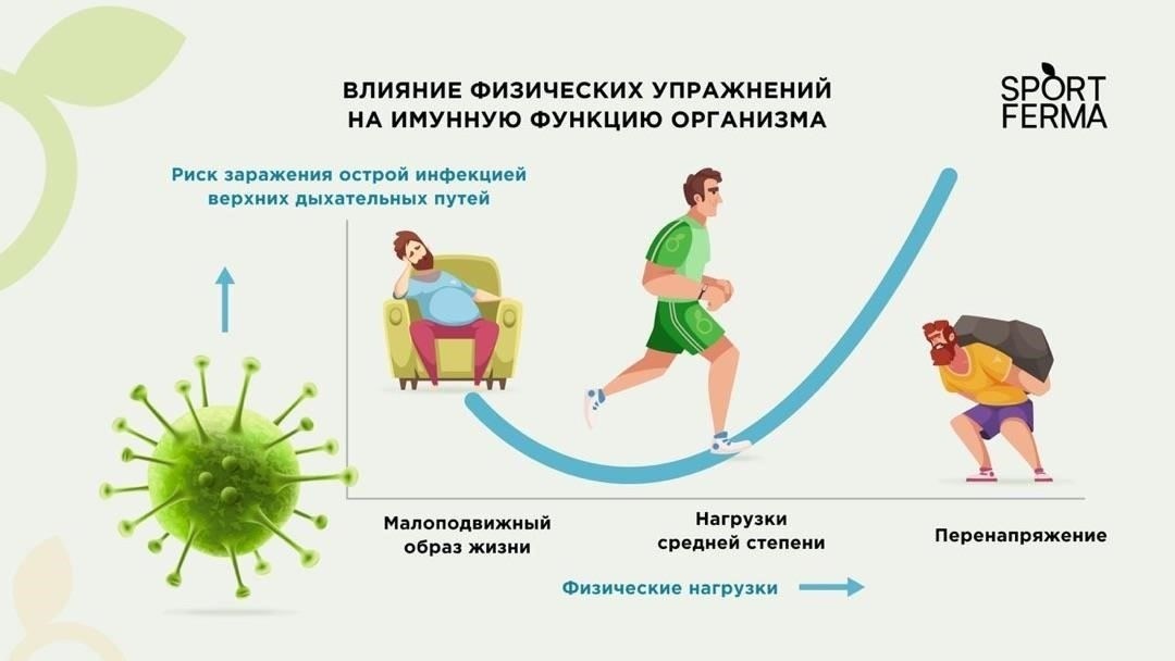 Влияние на выполнение физических задач