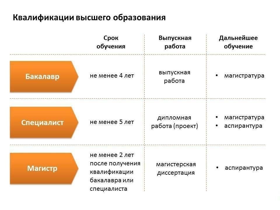 Высшее образование и специальности