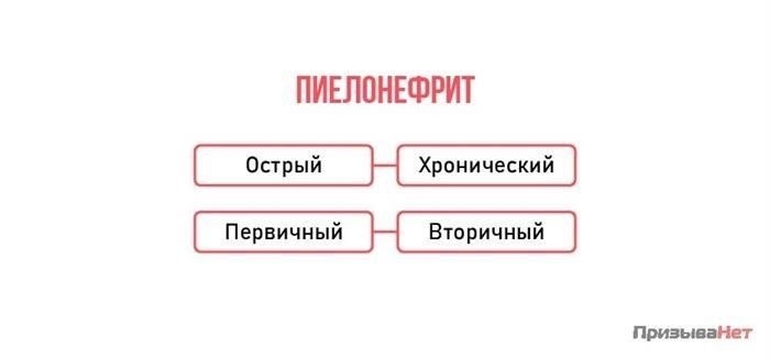 Категории годности для кандидатов с пиелонефритом