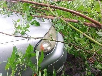 Затем обратитесь в соответствующие органы или компанию, ответственную за ведение ваших записей. Они подскажут, как внести исправления.