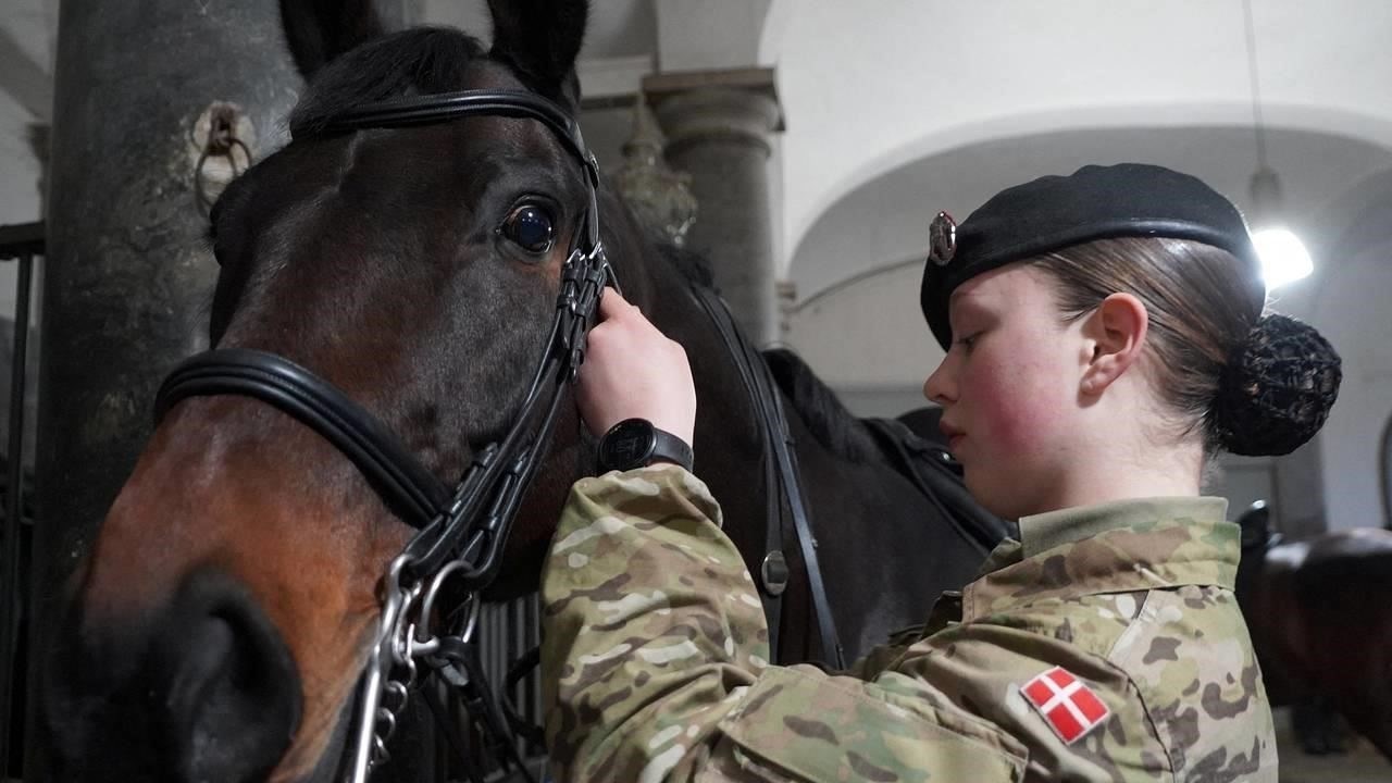 Женщины, решившие поступить на военную службу, не ограничены гендерными ограничениями в большинстве видов вооруженных сил. Это касается и высокопоставленных должностей, и специализированных подразделений, за некоторыми исключениями, обусловленными физическими требованиями и характером задач. Например, женщины чаще всего занимаются административной или материально-технической поддержкой, хотя некоторые из них служат в боевых частях. С годами число женщин в армии неуклонно растет, особенно благодаря растущему влиянию женских кумиров и общественных деятелей, которые призывают молодых женщин задуматься о военной службе.